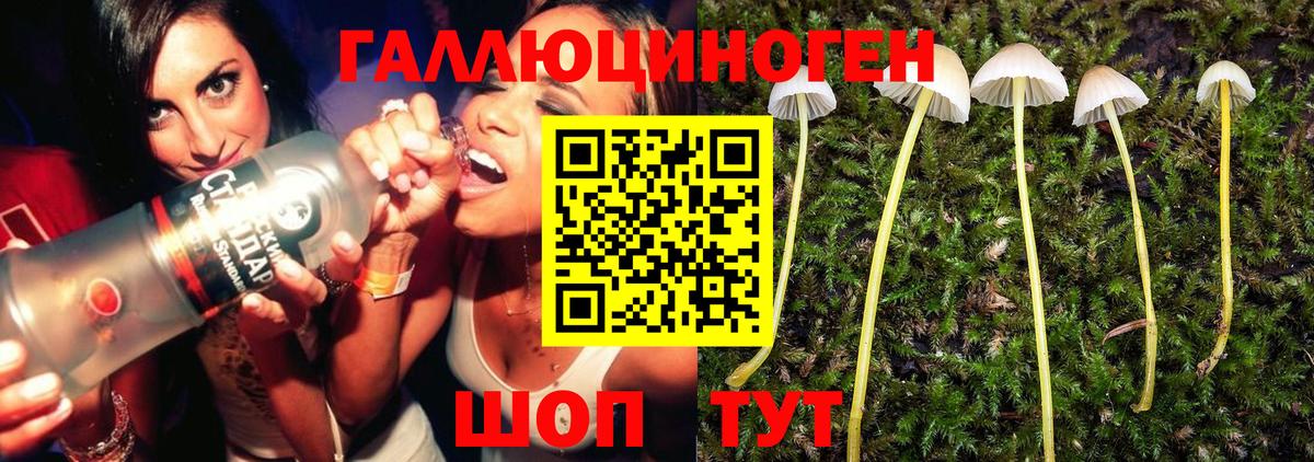 Родники  Псилоцибиновые грибы MAGIC MUSHROOMS  Вход с VPN 