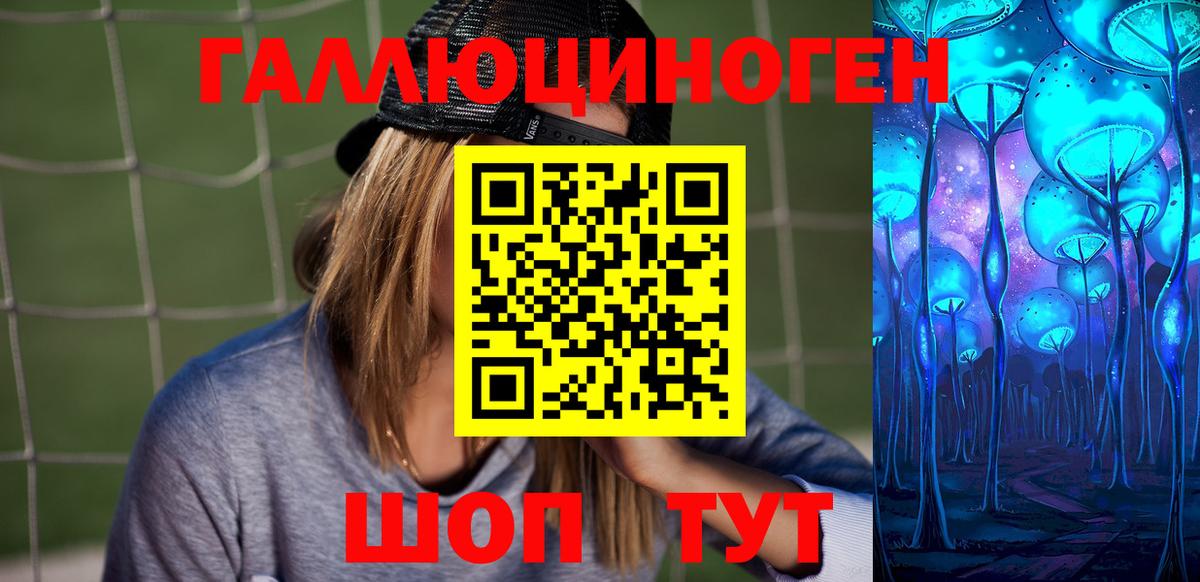 Галлюциногенные грибы Psilocybe Родники